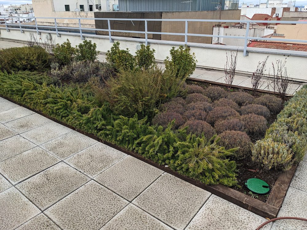 01 Auditoría Técnica de Zonas Verdes Urbanas