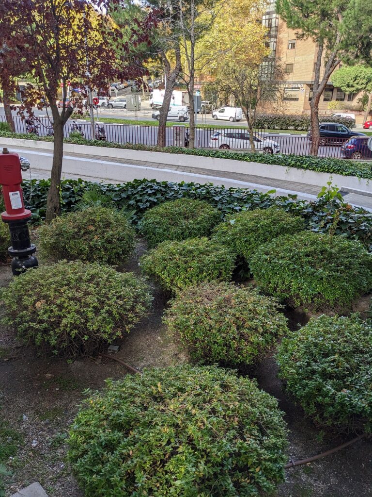 02 Auditoría Técnica de Zonas Verdes Urbanas