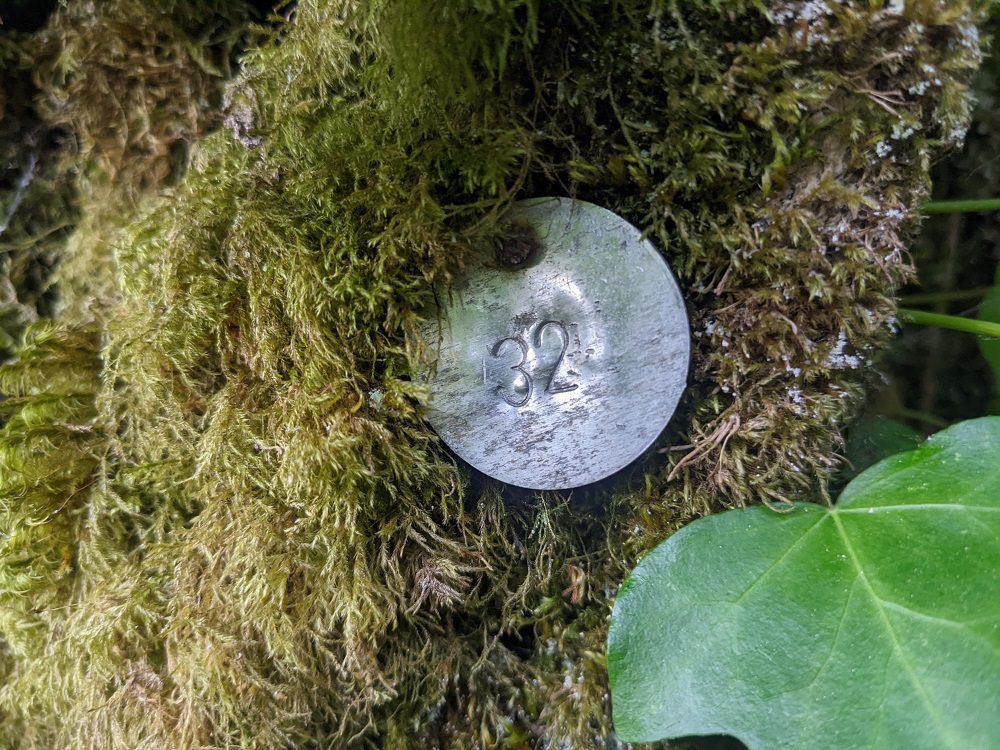 04 Plagas Forestales en Galicia