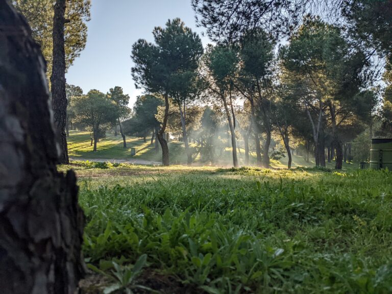 Estudios de impacto ambiental