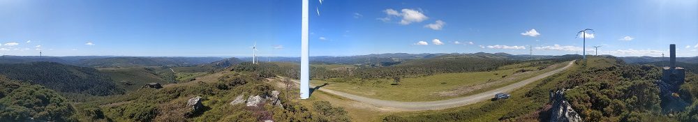 05 Plagas Forestales en Galicia